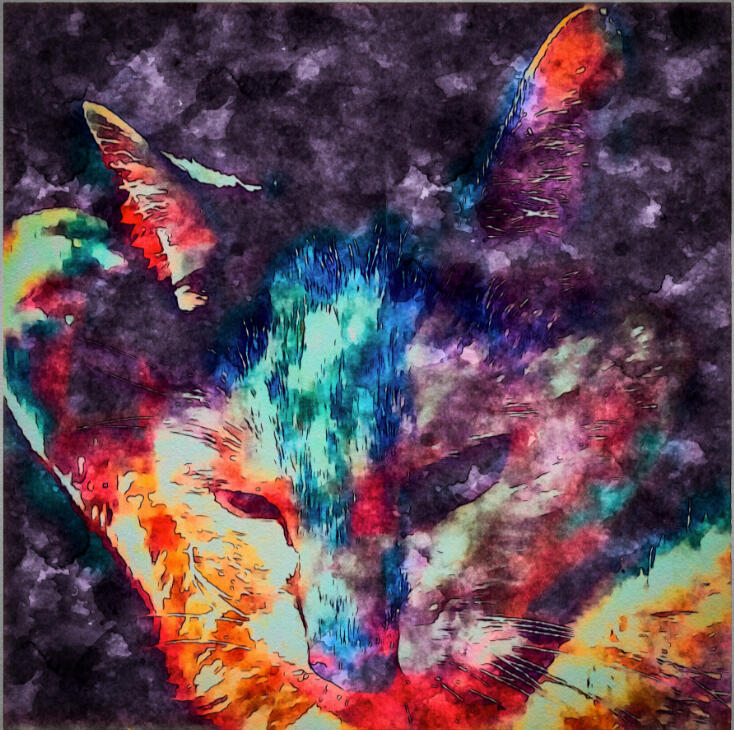 Magic Mia